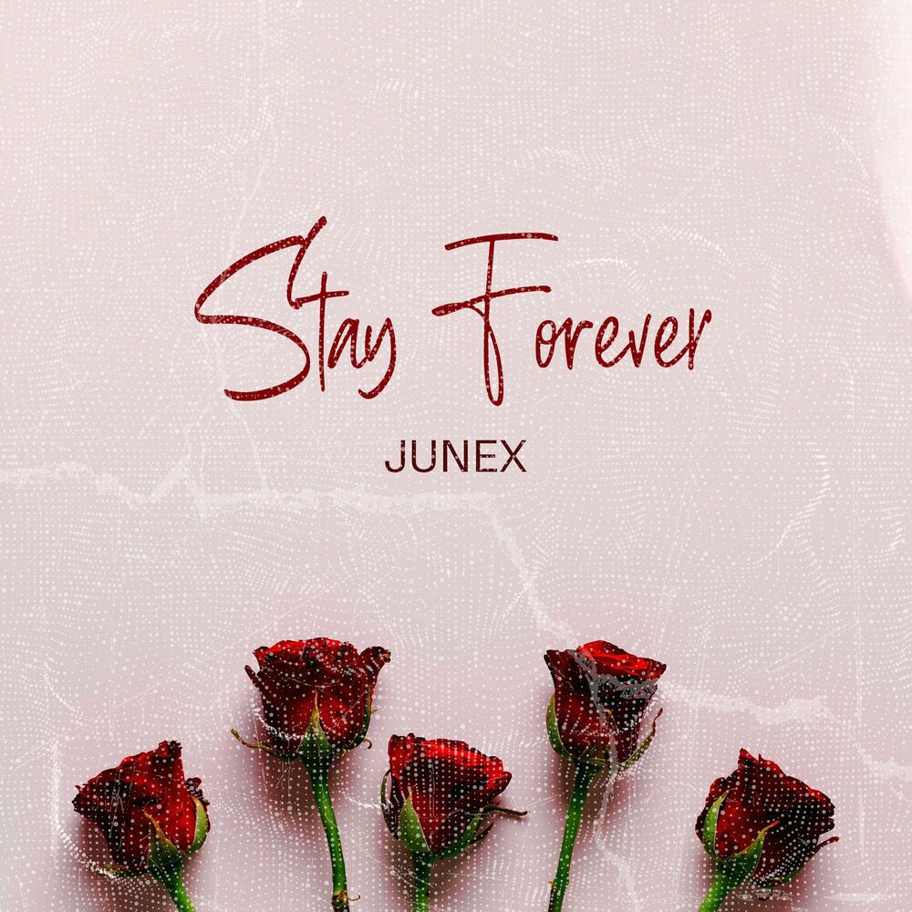 Junex – Stay Forever